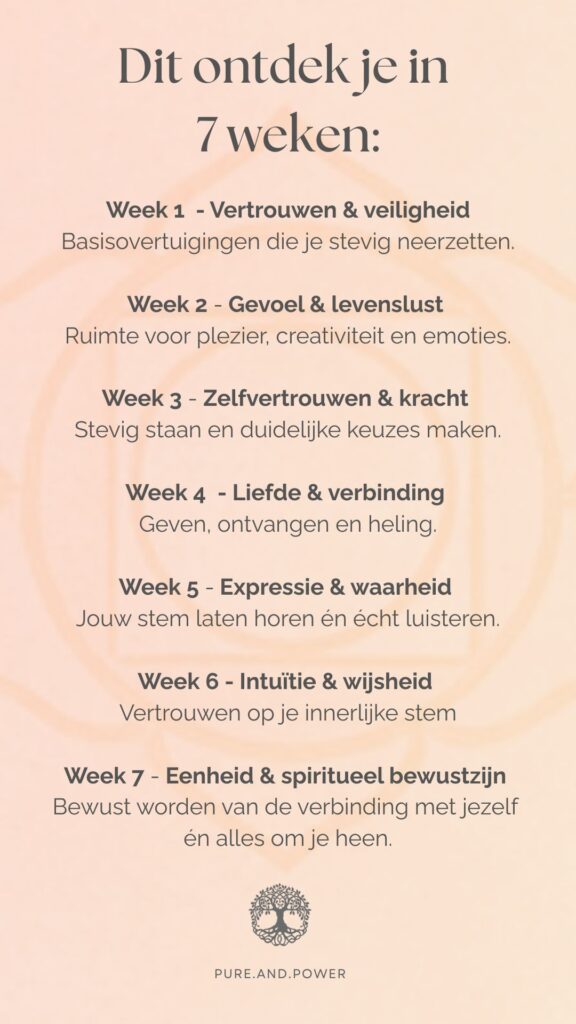 Kopie van Kopie van Canva (ze hebben kant-en-klare Instagram story templates met beweging!) (3)